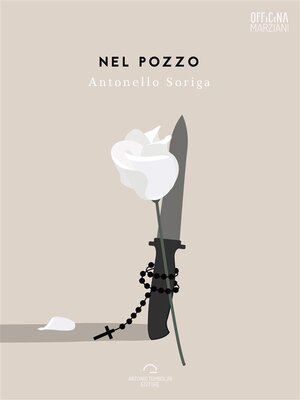 cover image of Nel Pozzo